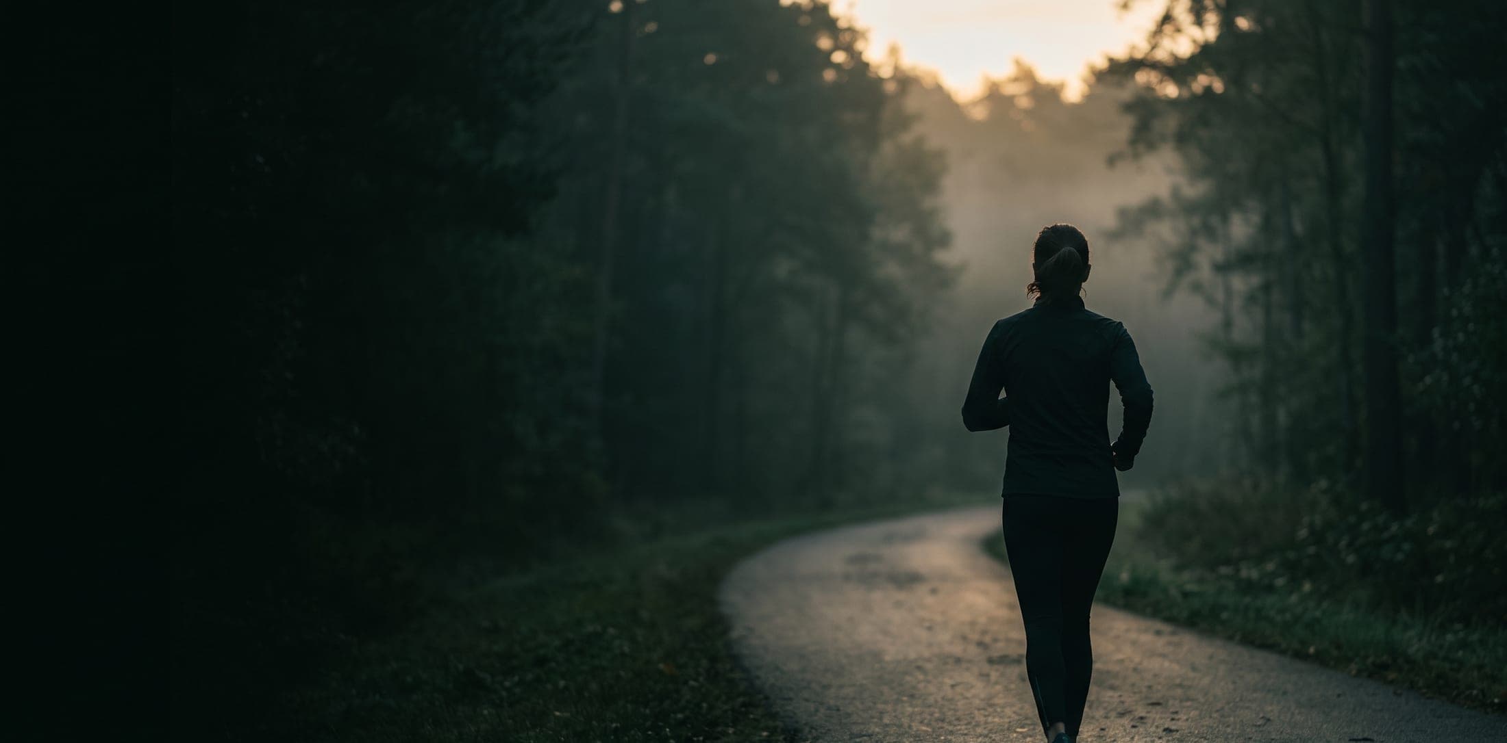 A runner on a quiet forest path at dawn
